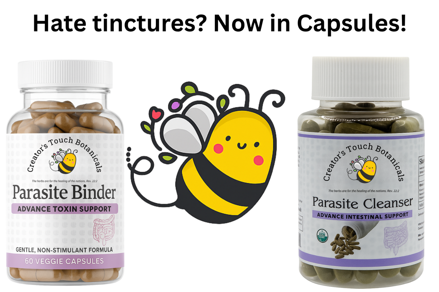 Parasite Cleanser & Binder Detox Kit – Capsules | 60ct Binder capsules