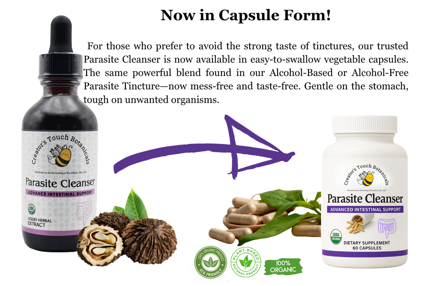 Parasite Cleanse Detox Kit – Alcohol based Tincture + Binder Capsules | 1oz + 60 ct Binder
