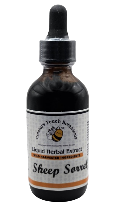 Sheep Sorrel Herbal Tincture, 1 fl.oz & 2 fl. oz.