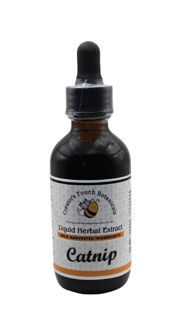Catnip Tincture – 1 fl. oz. & 2 fl. oz. | Nepeta cataria |