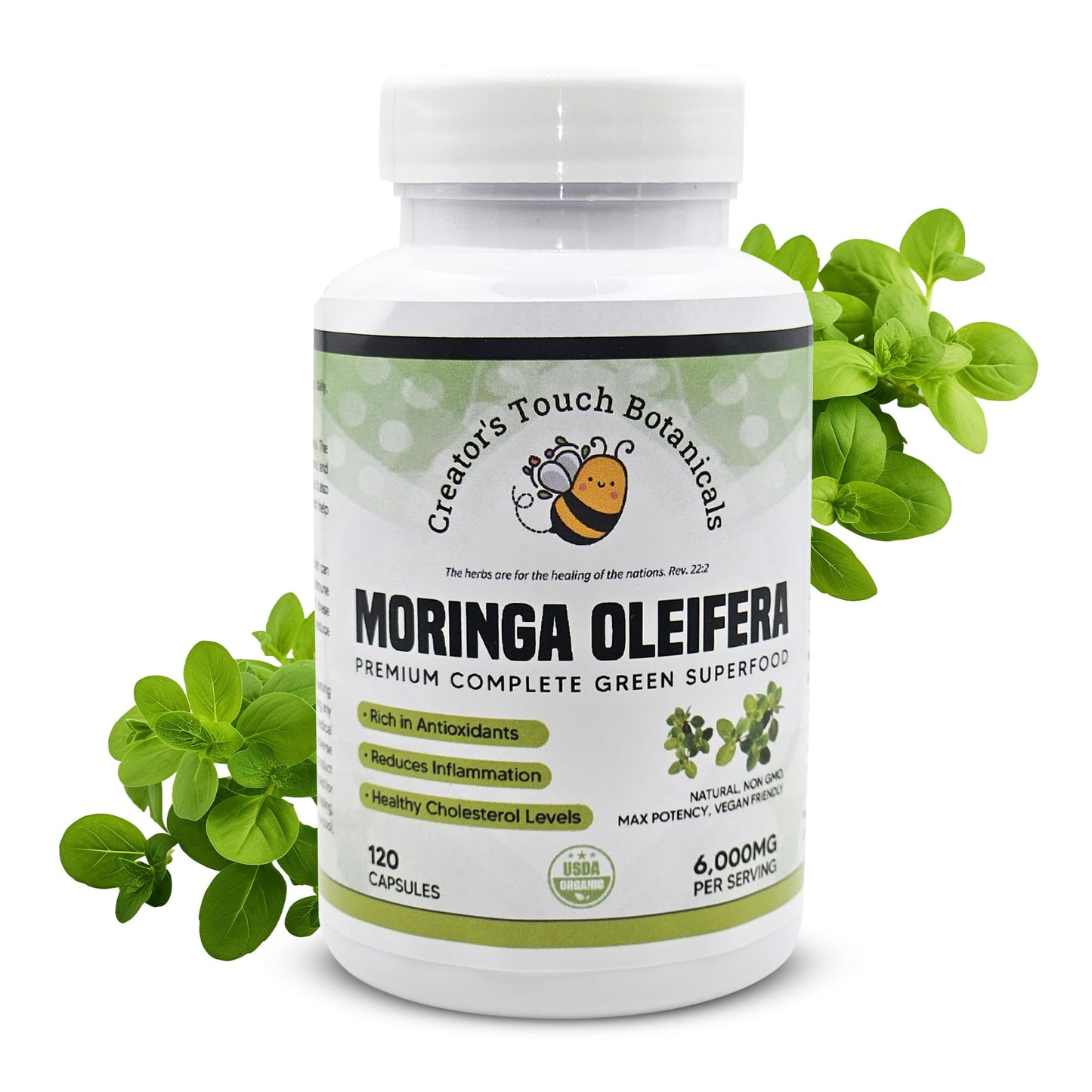 Creator's Touch Botanicals Moringa Oleifera Capsules – Nutrient-Rich Superfood – Supports Energy, Immune Health & Vitality – 1000mg per Serving – Non-GMO, Gluten-Free – 120 Veggie Capsules