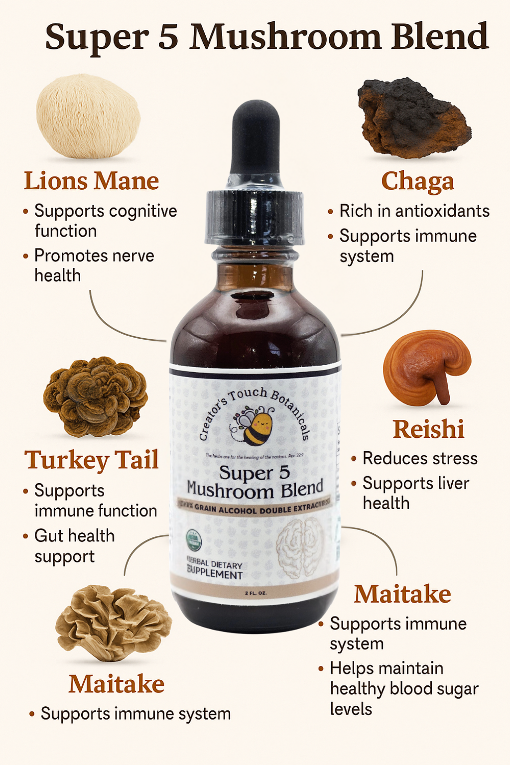 Super 5 Mushroom Blend – Double Extracted Tincture with Reishi, Turkey Tail, Lion’s Mane, Chaga & Maitake | 2 fl oz