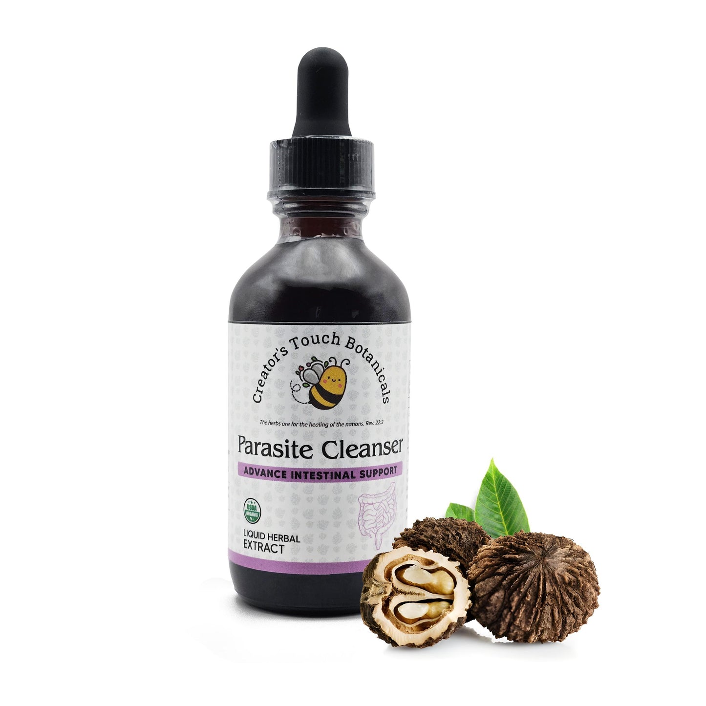 Parasite Cleanser Tincture – Alcohol-Based Herbal Detox for Gut & Intestinal Support | Creator’s Touch Botanicals
