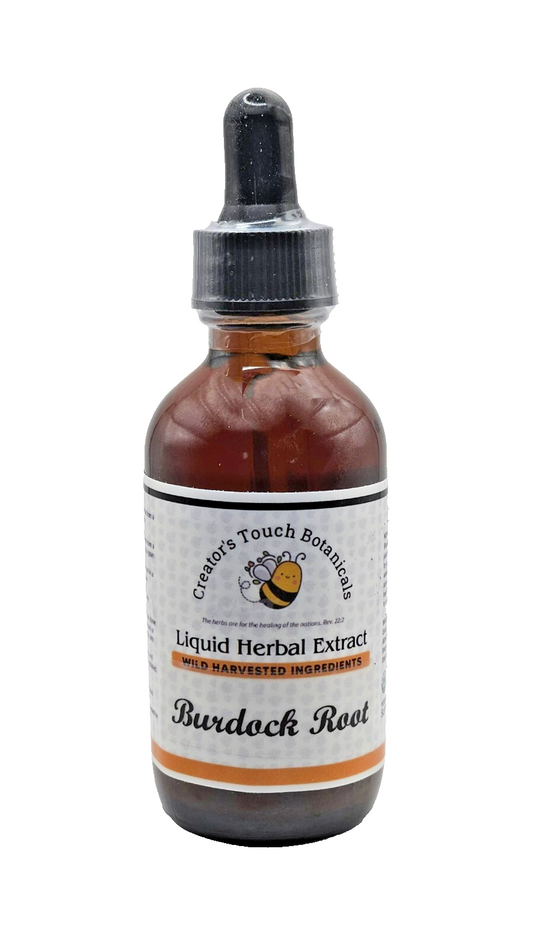 Burdock Root Tincture – 1 fl. oz. & 2 fl. oz. | Arctium lappa |