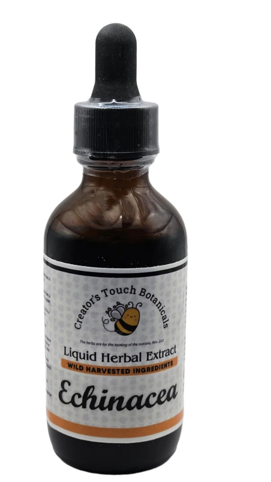 Echinacea Purpurea Tincture 2 oz | Herbal Extract