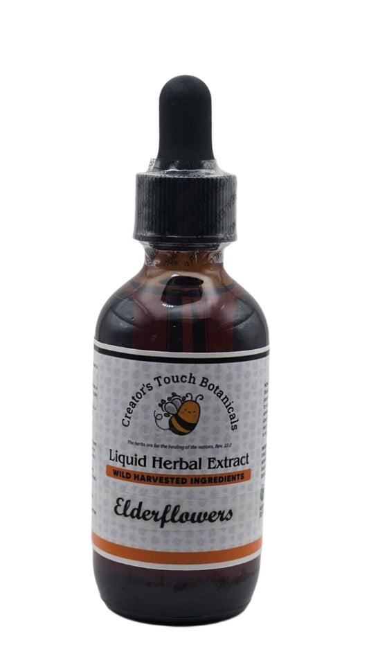 Elderflower Tincture Extract – 1 fl. oz. & 2 fl. oz. | Sambucus nigra