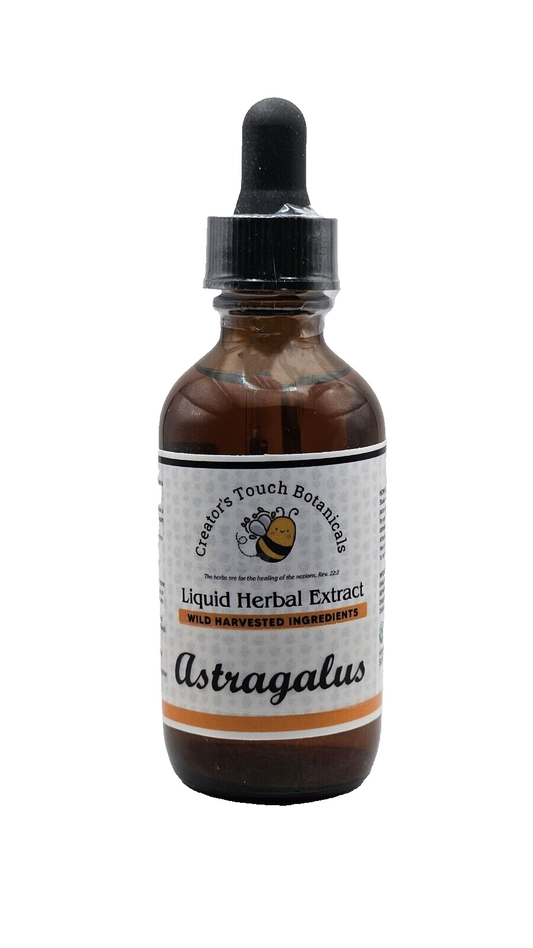 Astragalus Tincture – 2 fl. oz. | Astragalus membranaceus |