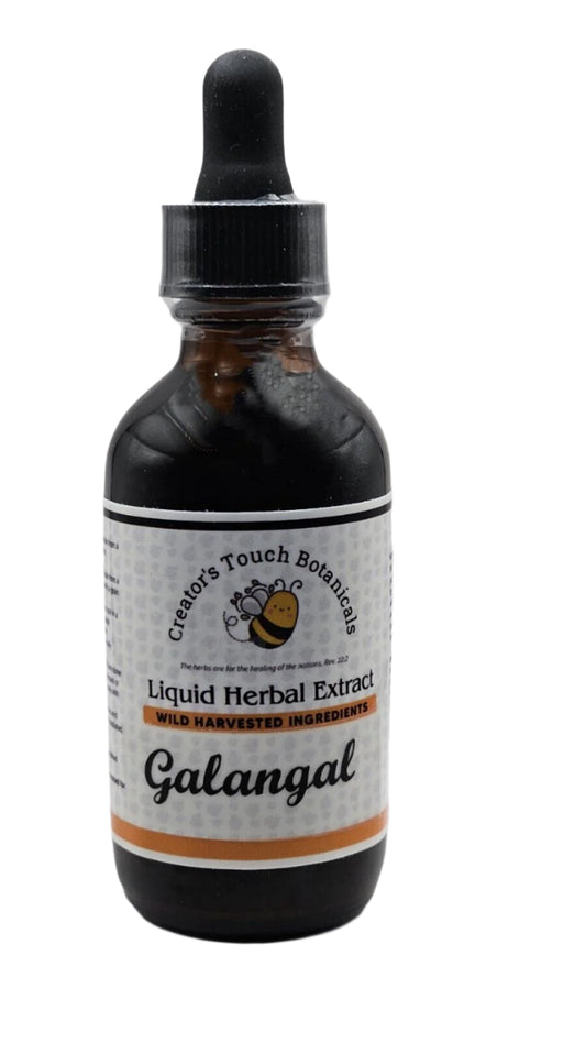 Galangal Root Tincture –- 1fl. oz or 2 fl. oz. | Alpinia galanga |