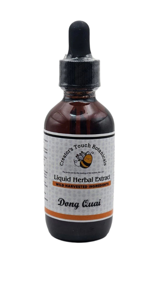 Dong Quai Tincture – 1 or 2 fl. oz. | Angelica sinensis |