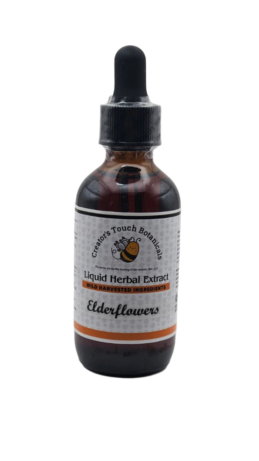 Elderflower Tincture – 1 fl. oz. &amp; 2 fl. oz. | Sambucus nigra |