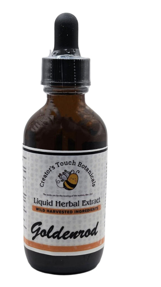 Goldenrod Tincture – 1 fl. oz. & 2 fl. oz. | Solidago virgaurea |