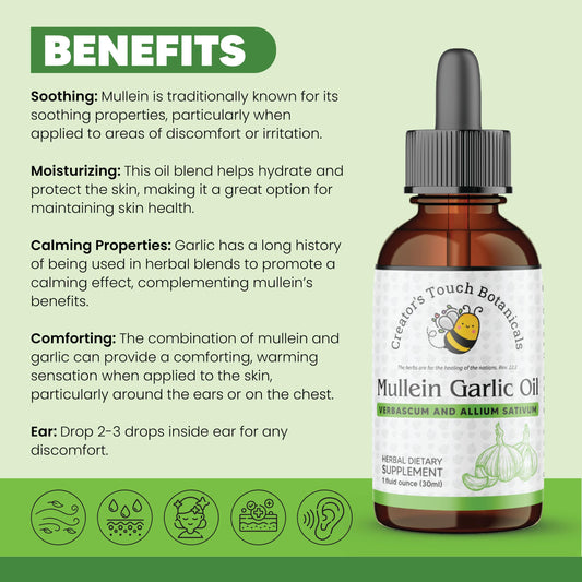 Mullein & Garlic Ear Oil – Herbal Support for Ear Discomfort | Creator’s Touch Botanicals