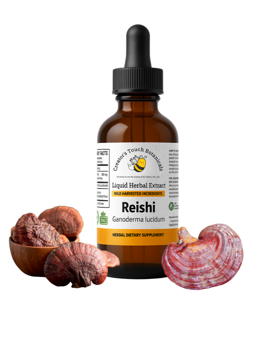 Reishi Mushroom Tincture – Immune & Stress Support | Creator’s Touch Botanicals Healthcare Natural